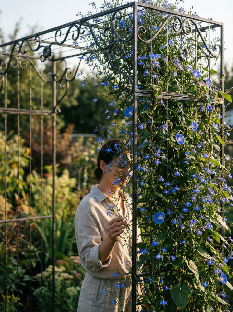 Пергола ПН-10-2 фото-3